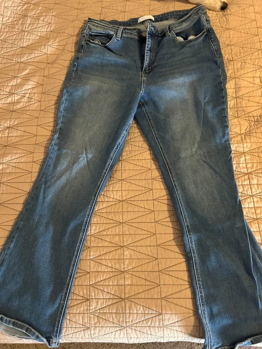 Women’s Boot Cut Jeans in Medium Blue Denim - Picture 1 of 3